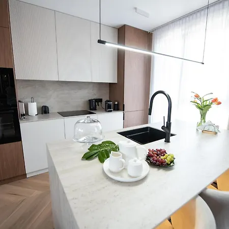 Luxury Penthouse With Large Terrace