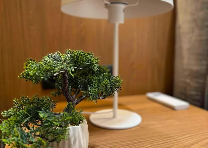 Luxury Penthouse With Large Terrace 公寓 *